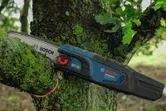Cordless pole saw cutting through a mossy tree branch outdoors.
