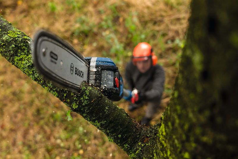 A person wearing safety equipment trims a tree branch using a cordless pole saw.