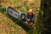 A person wearing safety equipment trims a tree branch using a cordless pole saw.