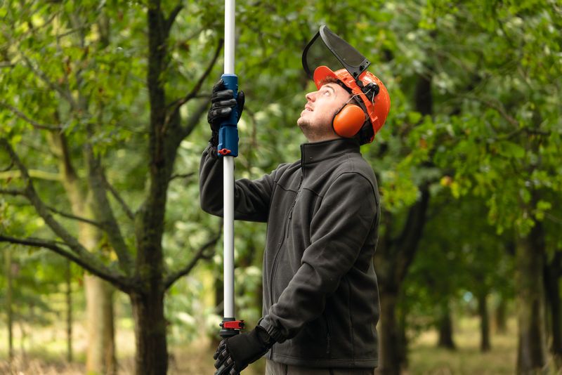 A person wearing safety equipment trims tree branches using a cordless pole saw.