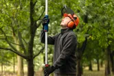 A person wearing safety equipment trims tree branches using a cordless pole saw.
