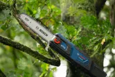Cordless pole saw trimming a tree branch outdoors.
