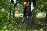 A person wearing safety equipment trims tree branches with a cordless pole saw.